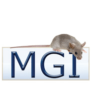 Mouse Genome Info Profile