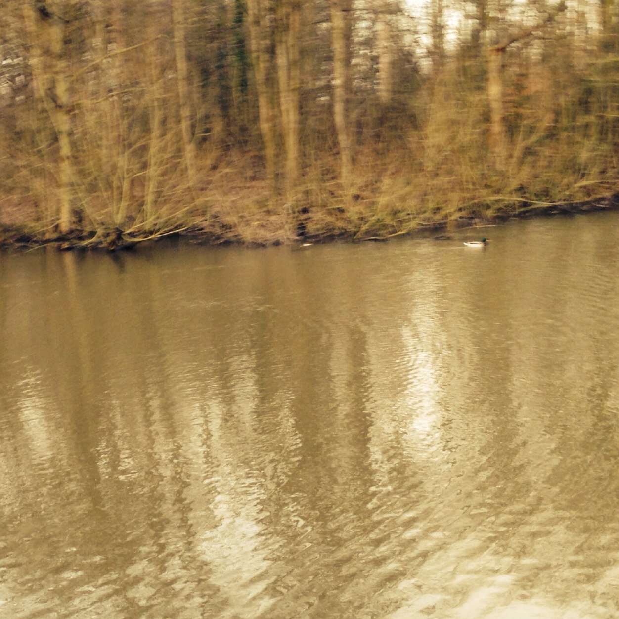 READBIO65760741's profile picture. 