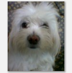 egoooor's profile picture. 