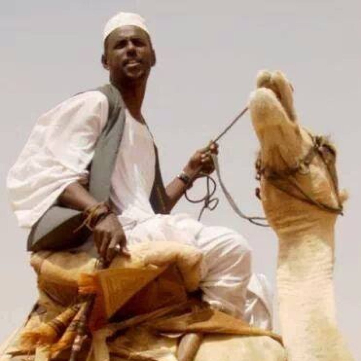 Sudanese..  Graphic designer, Painter .. Businessman.................................................سوداني.. مصمم جرافيك .. فنان تشكيلي .. رجل اعمال