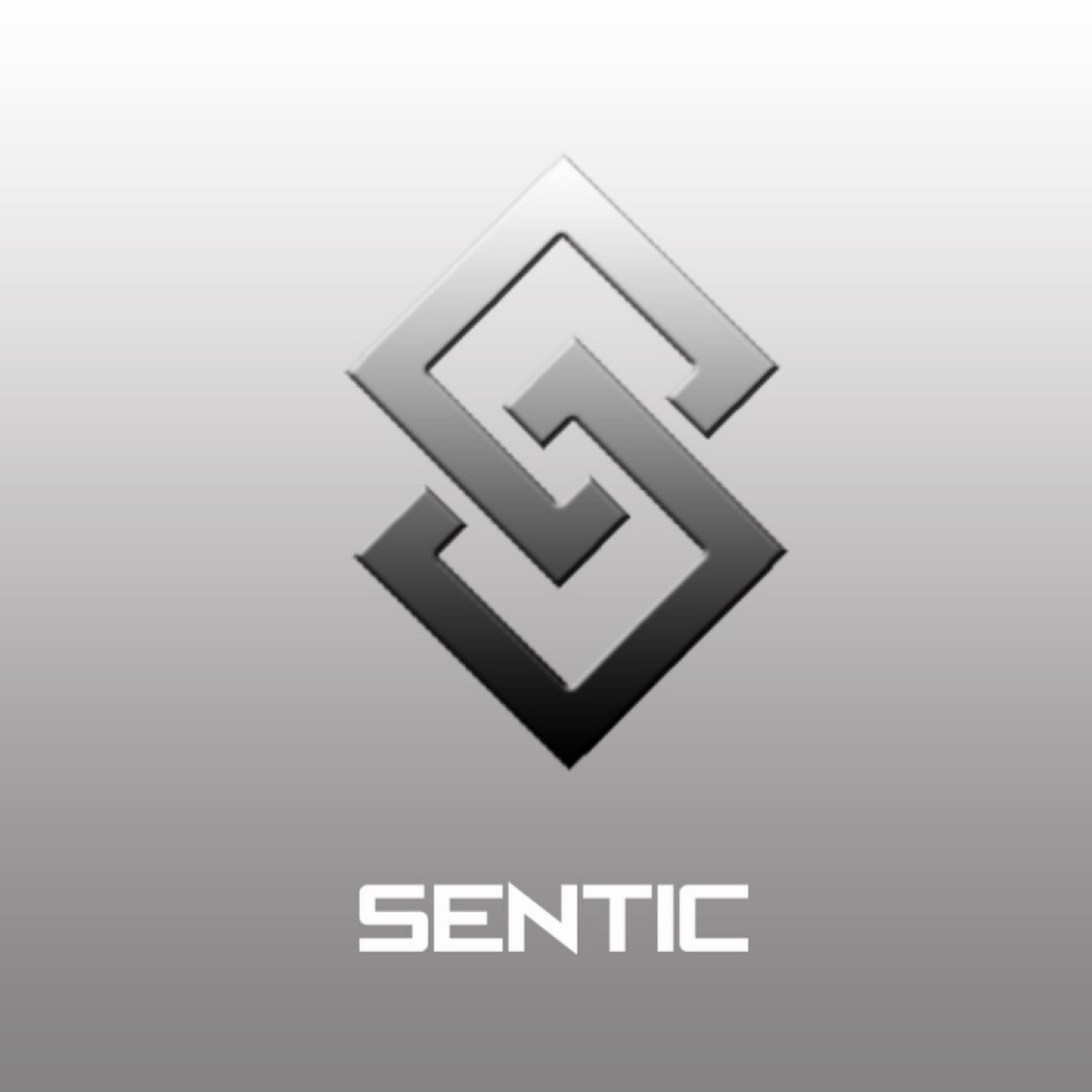 Youtube: Sentic_Section                       5 k Subscribers