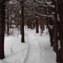 Stéphane Boucher - @StephanBoucher1 - Twitter