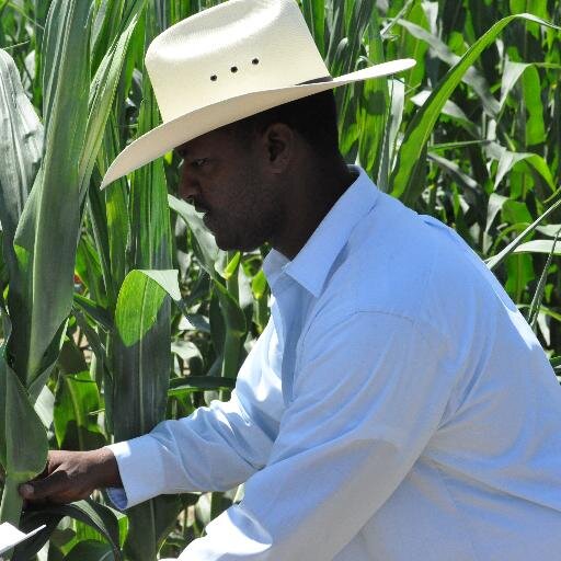 Choctaw County Agriculture & Natural Resource/4-H Agent, MSU-Extension Service