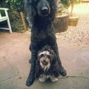 Jamie Alec Baker - @JamieAlecBaker - Twitter