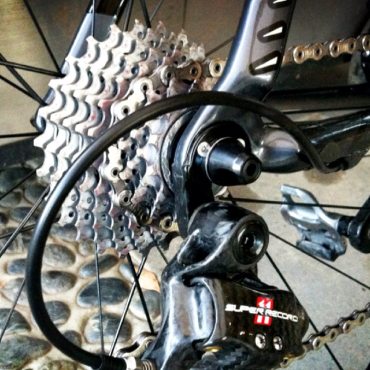 dsgskip's profile picture. 