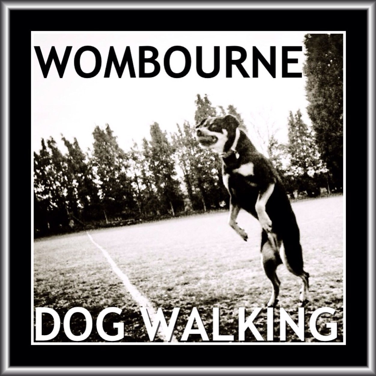 We are Pet Minders & Dog Walkers in Wombourne, South Staffs. Our aim is simple. To give your pets the LOVE, CARE & ATTENTION that they deserve.