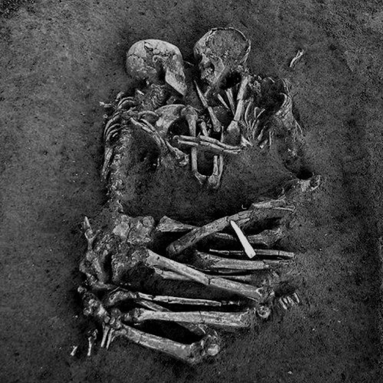 d_pressed_'s profile picture. Who seems to (a) understand what it's like to be dying, and (b) not have died? -John Green