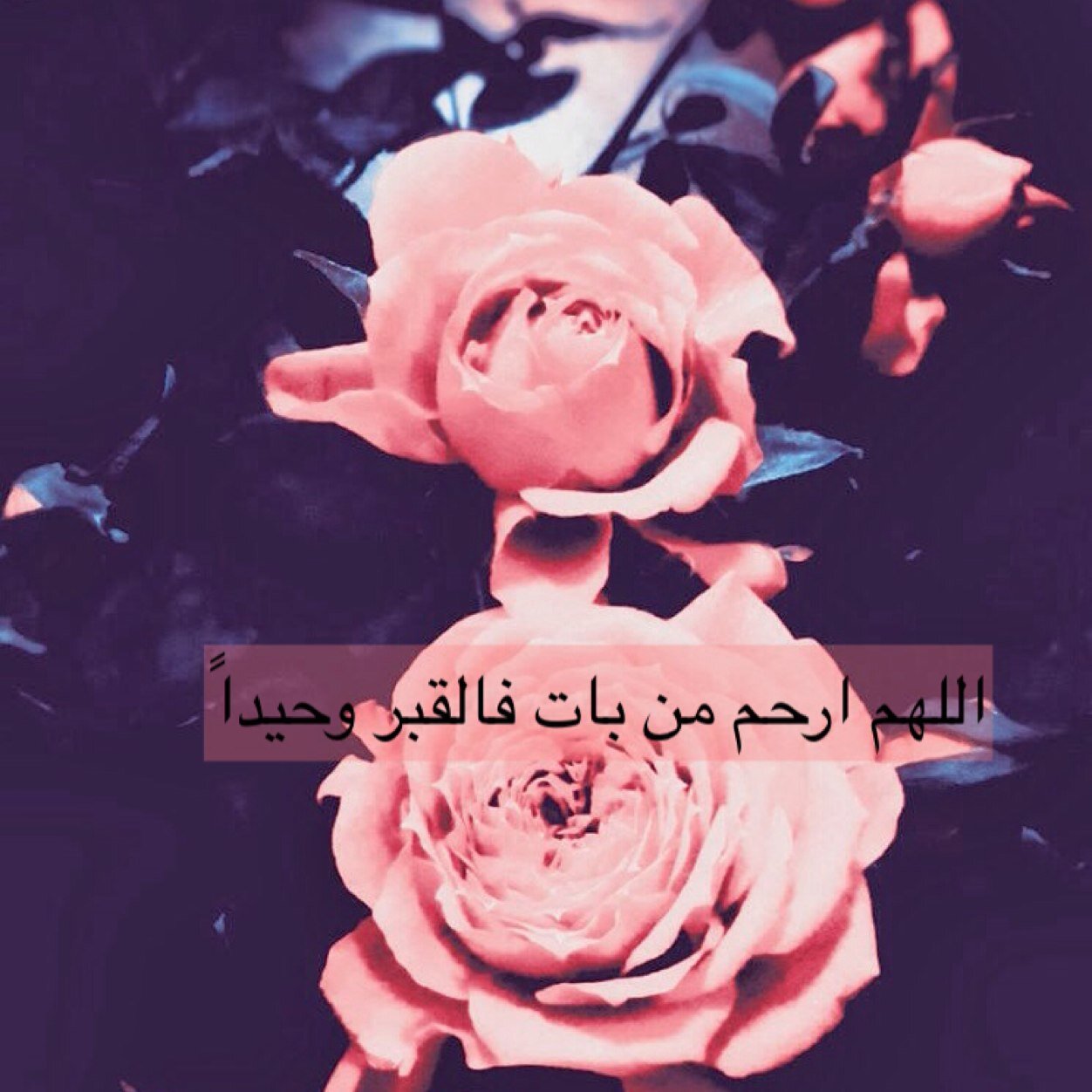 اللهم إرحم امي واغفرلها ، اللهم اجمعني معها في جناتك ، اللهم صبرني على فراقها ، اللهم آنسها في وحشتها .. في ثواب المغفوره لها بإذن الله ♡