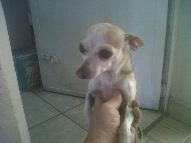 Elasticman82's profile picture. 