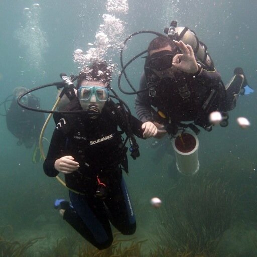 ZoePoullainP's profile picture. 