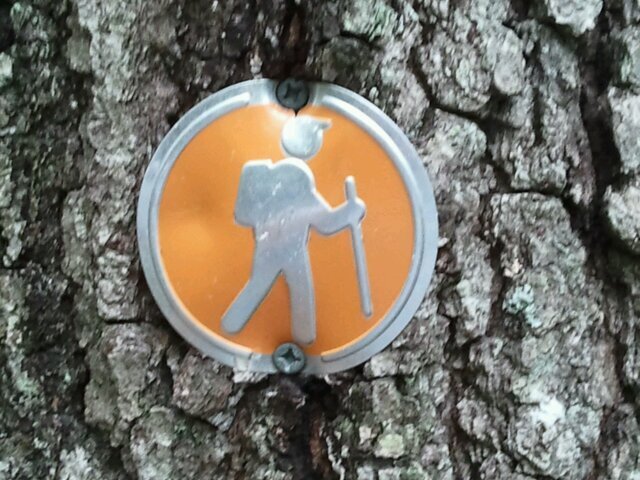 Christ follower.
Blessed Husband and Father.
Lover of life, people, and the journey of faith.