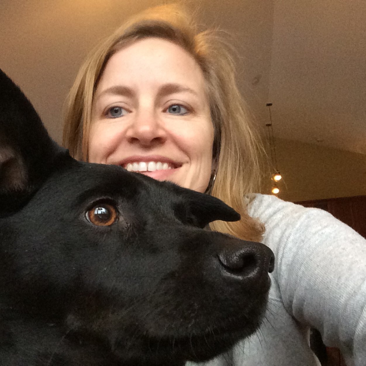 BirdlandMom's profile picture. 