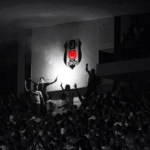 ferhatsenelll's profile picture. DIRECTIONER :d