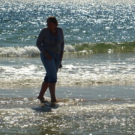 lepavillon740's profile picture. 