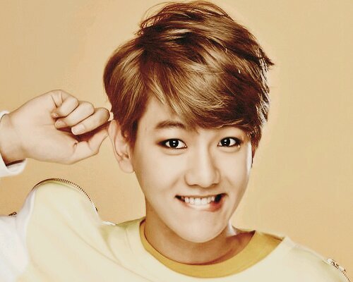 Amapolas everywhere ñ.ñ BAEKYEOL IS REAL BITCHES ·EXO· B.A.P·BTS·SHINee·VIXX·SNSD·In love with 12 gheis, 4 Chinese & 8 Koreans|Baekhyun & Chanyeol biased ¢: