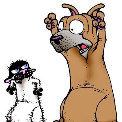 sharpiemoustach's profile picture. Who 'dat bobcat