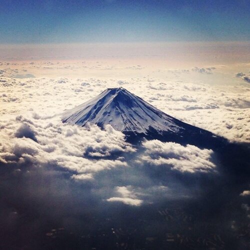 ただの株好き