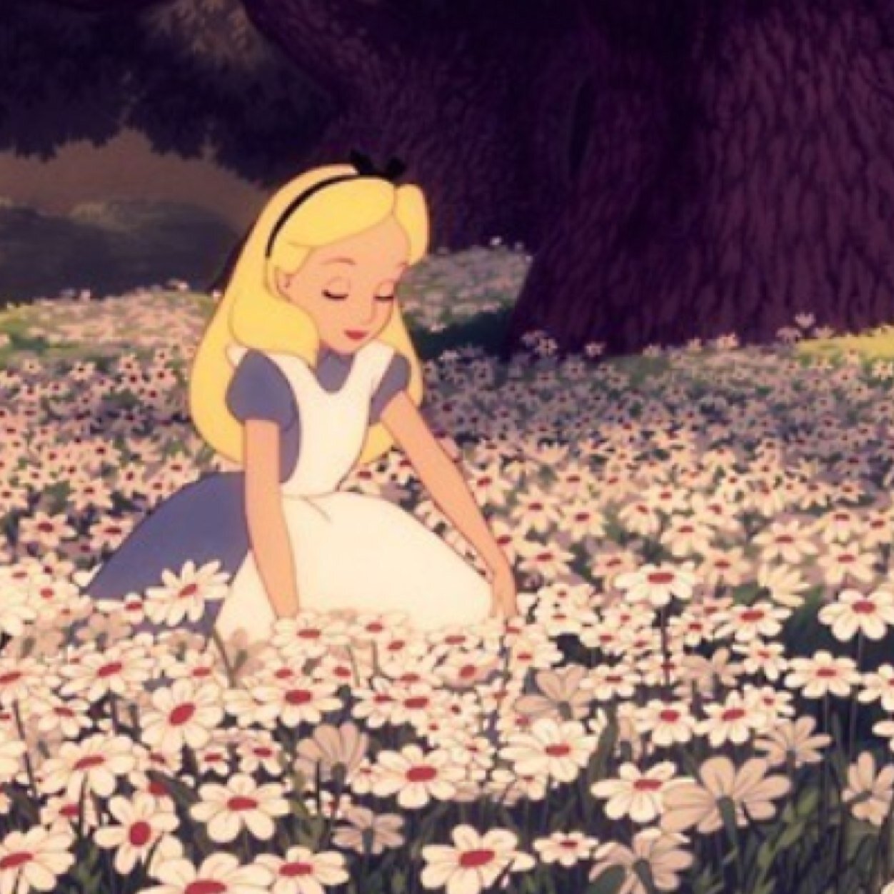 LukesPrincessaw's profile picture. 