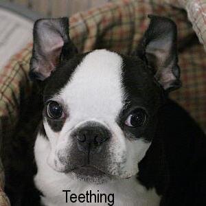 weskimo8's profile picture. 