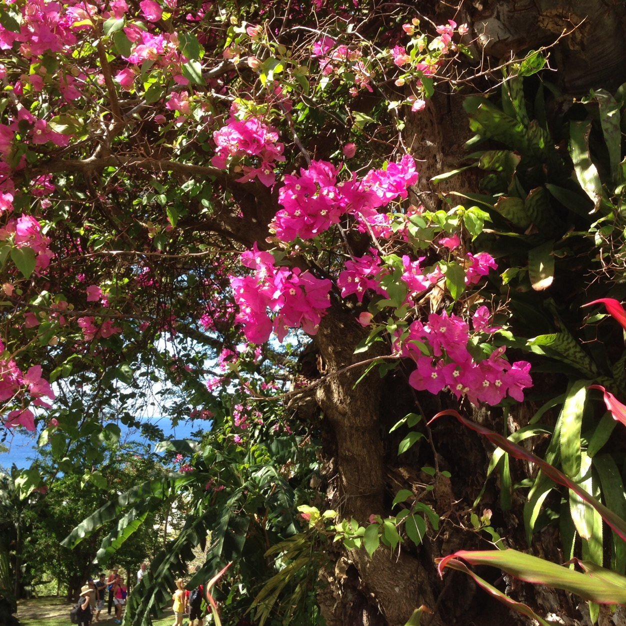 lucbuc78's profile picture. 