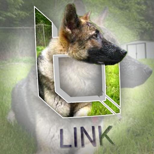 My owner is @TheDinosauers// Inspired by iLTD