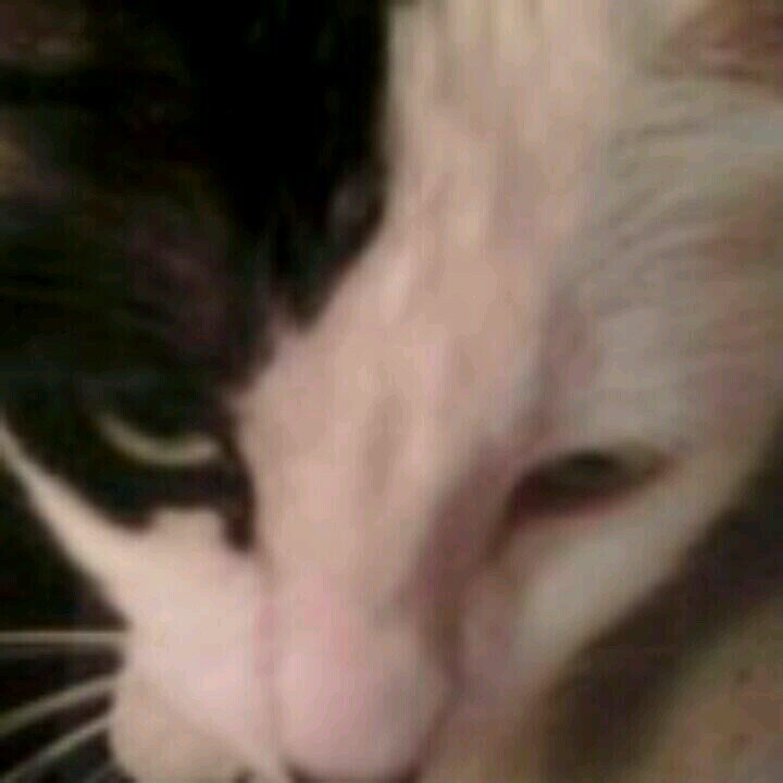 LCeile's profile picture. 