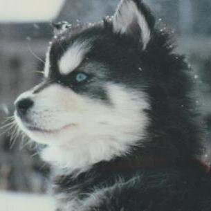 sherryarthur510's profile picture. I'm a lovable crazy person who has a lot of problems.