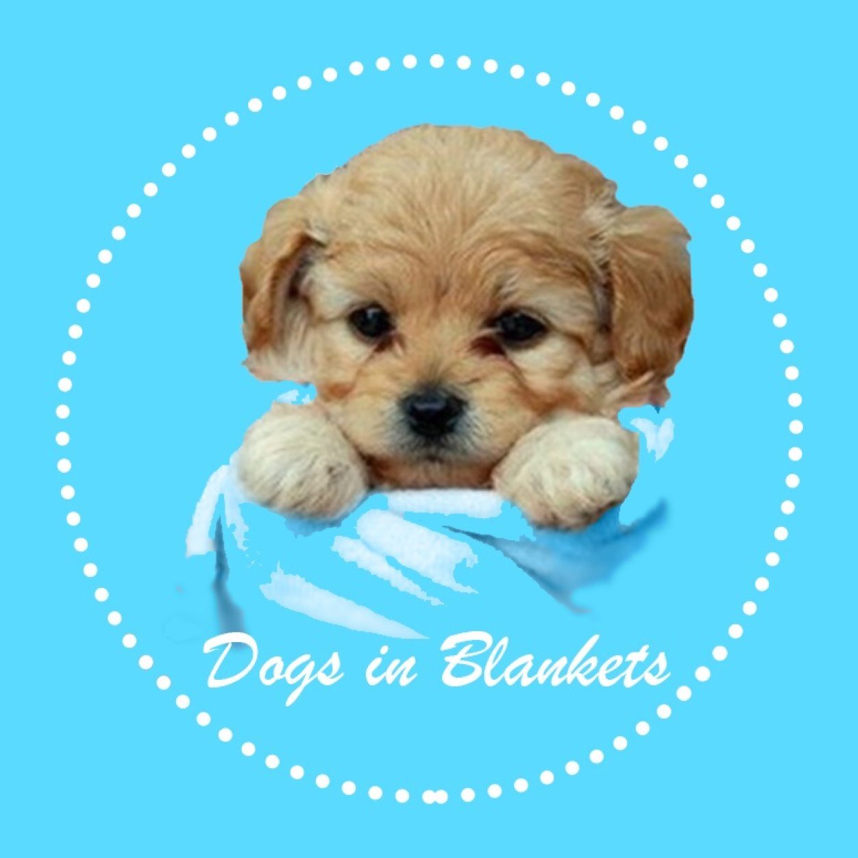 Dogs In Blankets DogsinBlankets Twitter