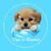 Dogs in Blankets (@dogsinblankets) Twitter profile photo