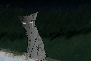 A gray cat w/ freckles and blue eyes. My beautiful mate is Sandyleaf. Clan: None. Theme song: Viva La Vida. #Taken #Male