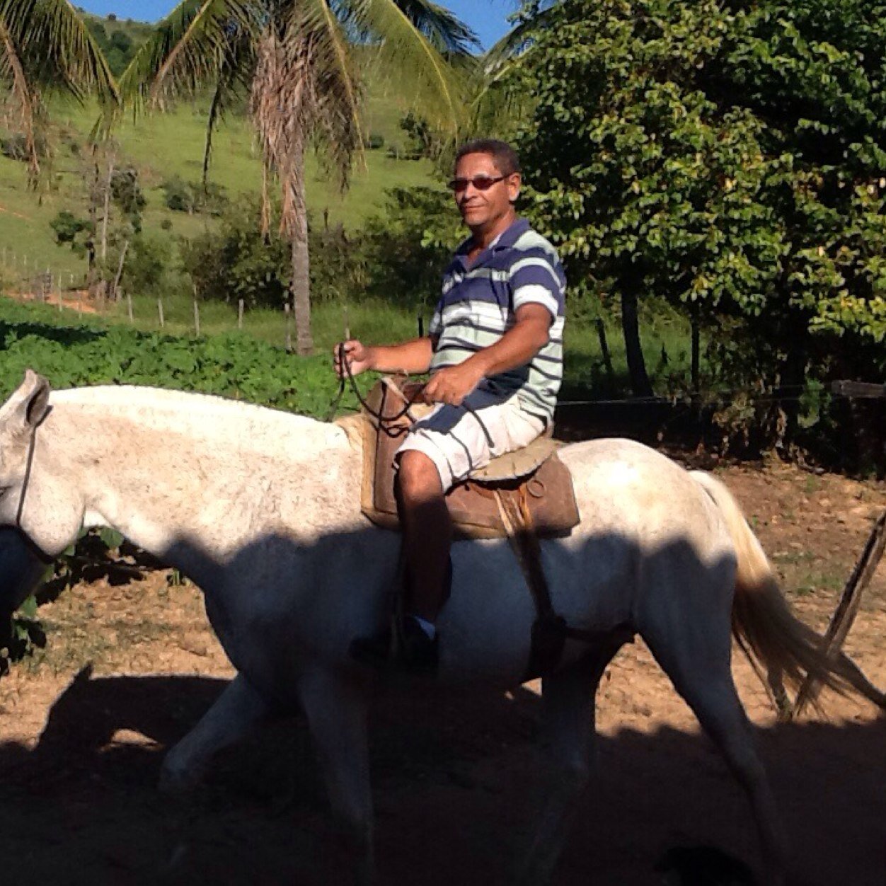 12Messiassanto's profile picture. 