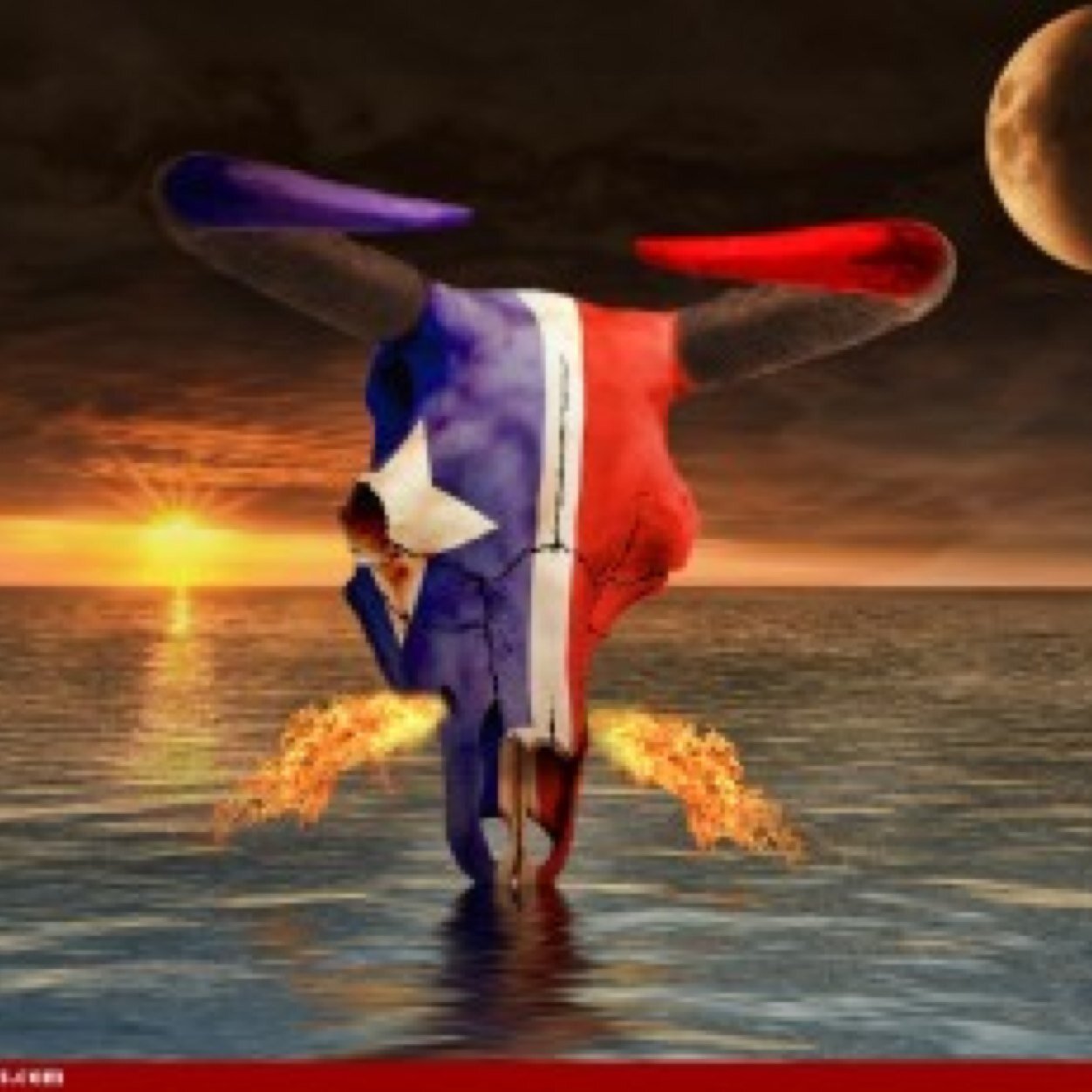 cschuller96's profile picture. 