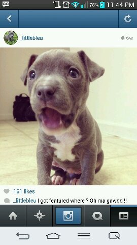 DigitalLingo's profile picture. 