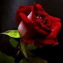 حسين سحاري (@0503276111) Twitter