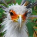 timothy okey - @OkeyTimothy - Twitter