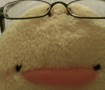 hydrangea1132's profile picture. 高専S科卒。好きなもの:日食なつこ、椎名林檎、東京事変　等