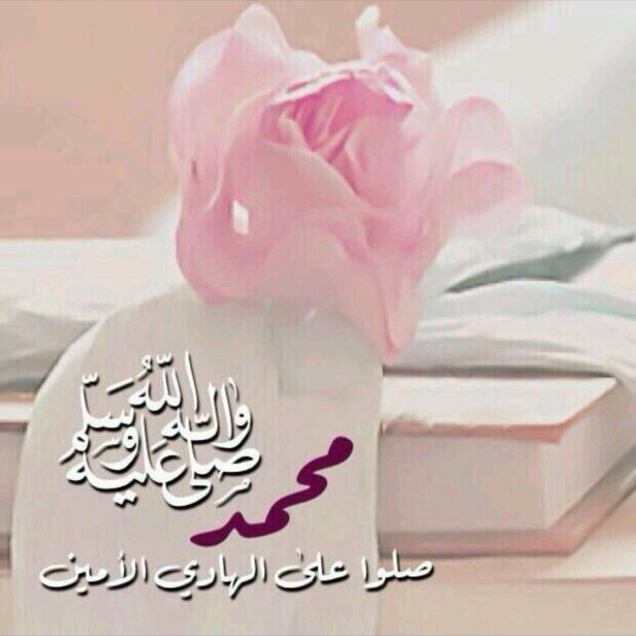 gogdhjhkl's profile picture. 