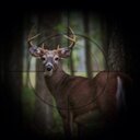 Keaton Wilson - @Keaterbug11 - Twitter