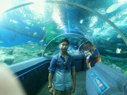 Norbuglama's profile picture. 