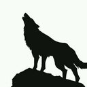 wolf (@11_basuke) Twitter