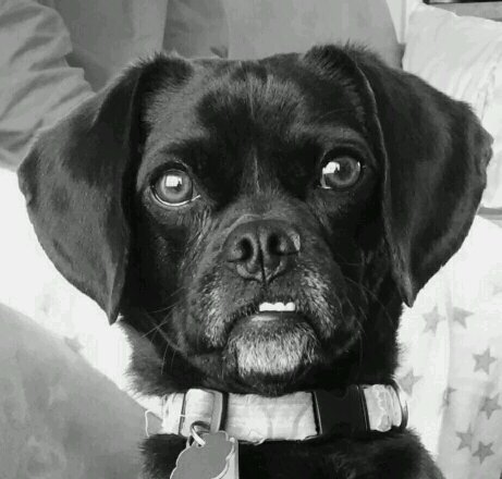 EdRevugh's profile picture. Pseudonym using, Level 7 Google local guide; complementing and complaining where needed.