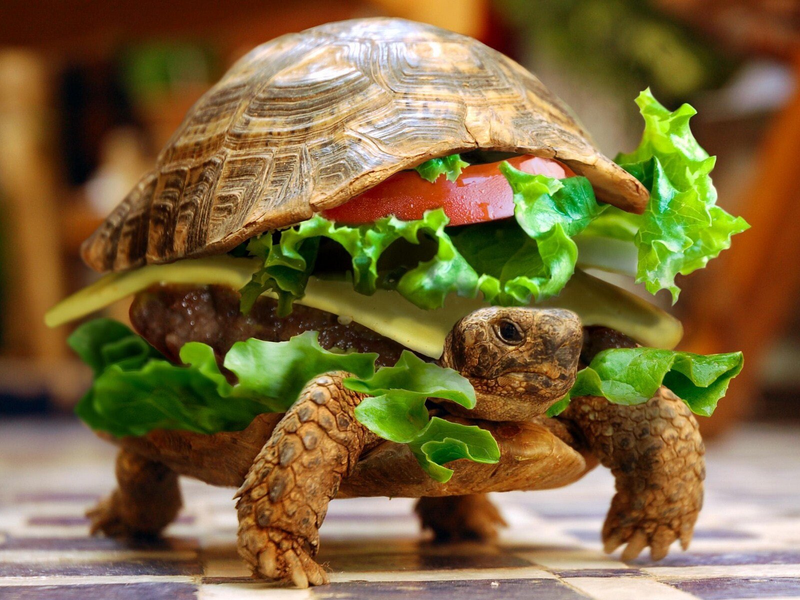 JavierArmas8's profile picture. lil dicky