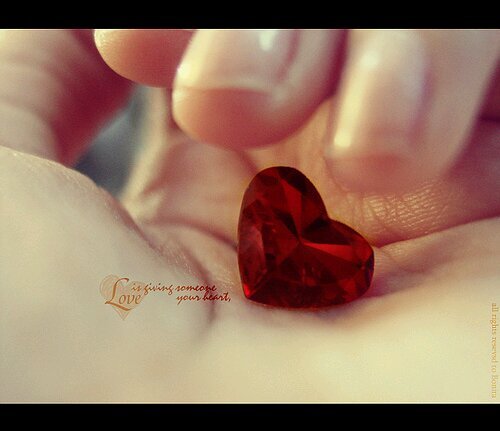 ‏‏‏أعشق اﻷنثى .. عندما تكون لي .