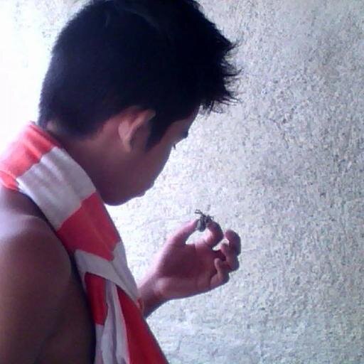 secretcode980's profile picture. 
