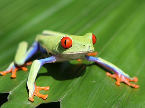 PERMACULTURA_PR's profile picture. O que é permacultura? É uma maneir gostosa e divertida de se planejar os espaços pensando nas pessoas, no planeta e distribuindo excedentes. 
Contamine-se!
