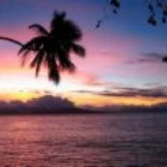 SoakinMoreSun's profile picture. 