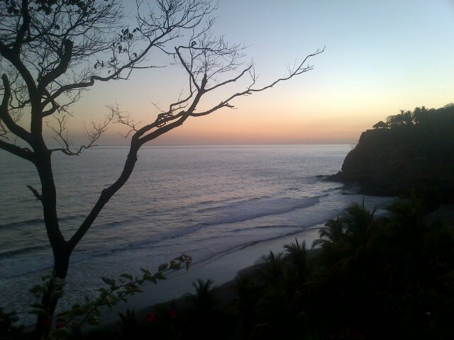 thezippl's profile picture. 