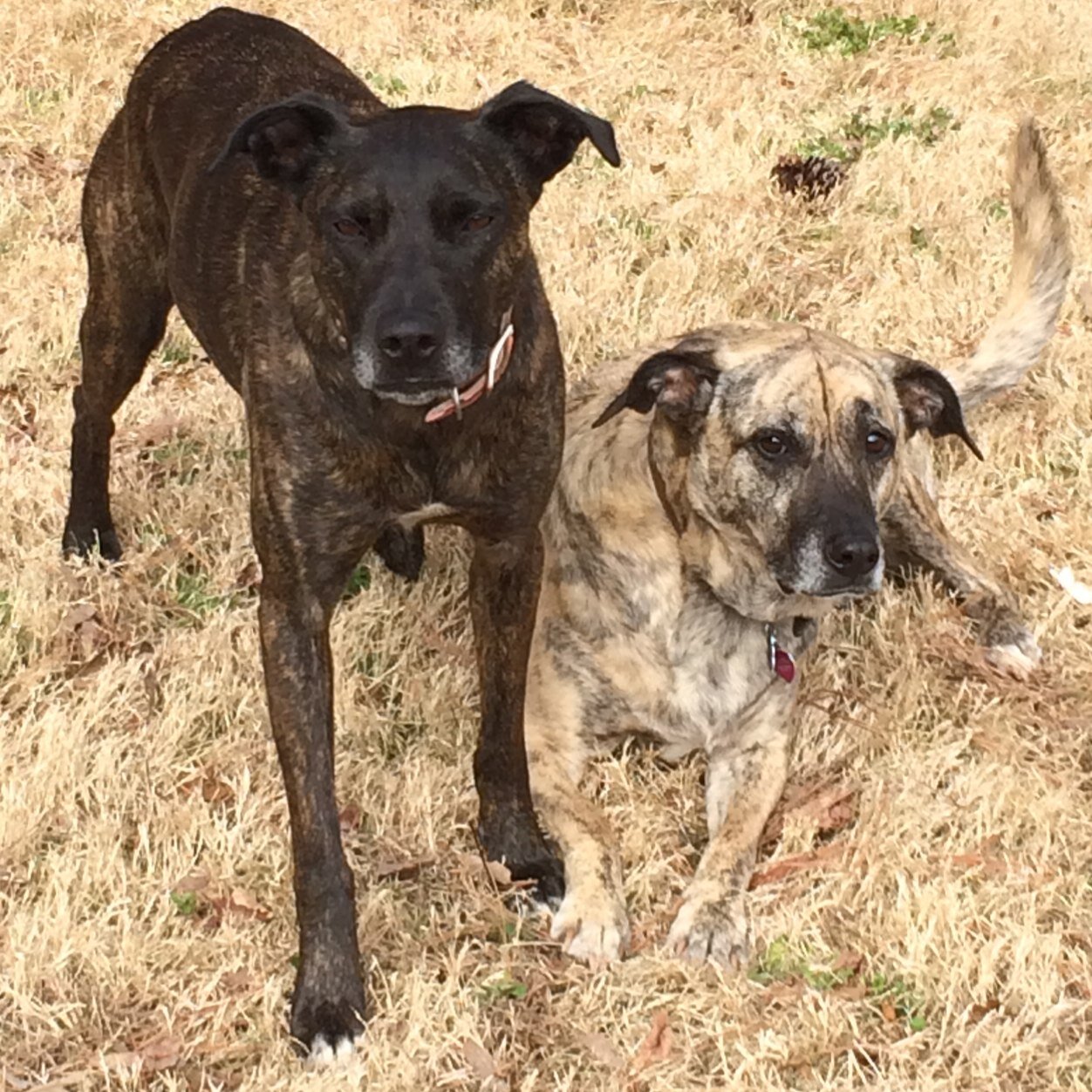 morningview1's profile picture. 