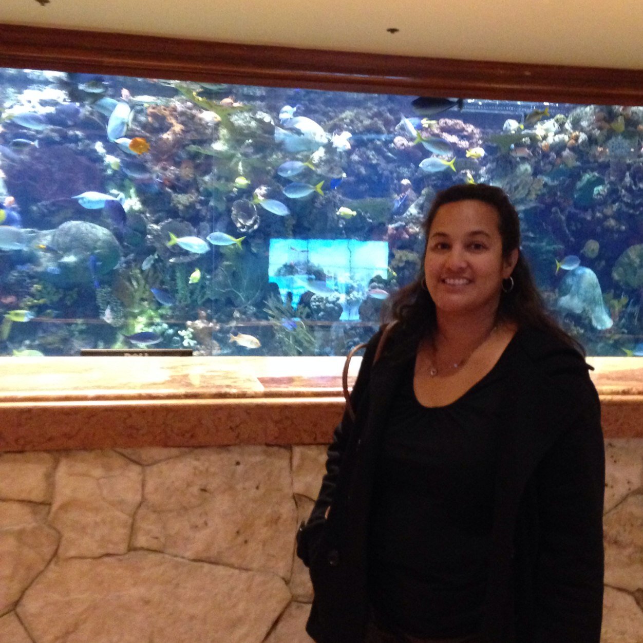 amcassidy8's profile picture. 