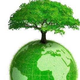 Keep Nigeria Green is a national public interest group committed to using the power of information to safeguard the Environment and health of Citizens
